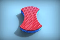 sponge