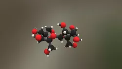 Sucrose molecule sacarose sacharosis disaccharide Low-poly  3D model