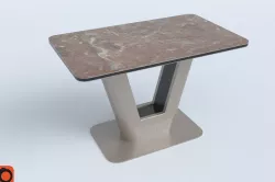 Table 6 3D model