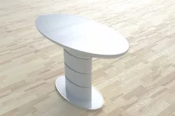 Table 9 3D model