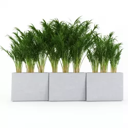 Twista Contemporary Modern Outdoor Planter Pot Areca Palm 3D model
