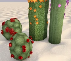 warm cactus sandy duplicable bonsai 3D model