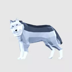 Wolves Low-poly  3D model