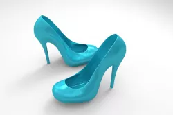 Women shoes (pair)