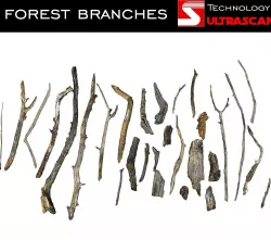 Wood Branch Pack 28 Low-poly  3D model