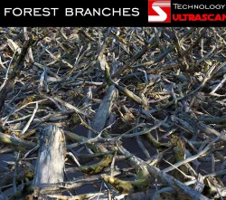 Wood Branch Pack  Low-poly  3D model