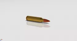 .223 Bullet