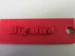 Big Bird