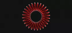 circular helical spring