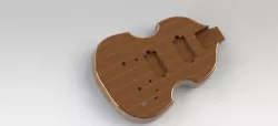 custom guitar model