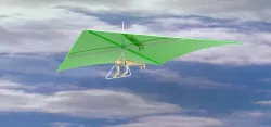 Delta Plane
