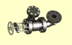feed chek valve