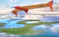 Flying Wing RC