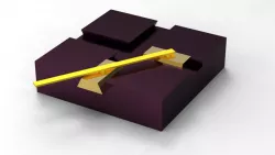 Mechanism