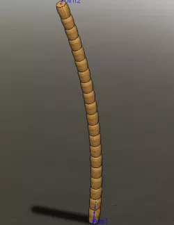 Palm Tree Trunk