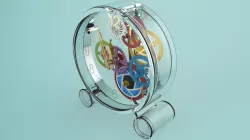 Plastic Clock