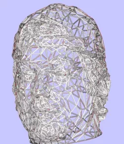 RAF-HEAD-NET
