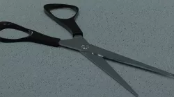Scissors