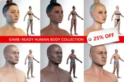 Average Human Body Collection 