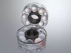 bearring 5