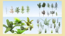 Big vegetation collection 