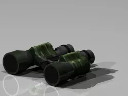 Binocular 