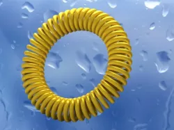 Circular spring