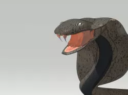 Cobra