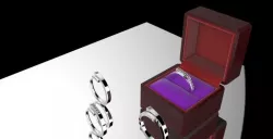 Couple Rings 3D model