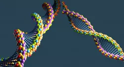 DNA 3D Model 3D model
