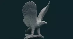 Eagle 3d Model 3D model