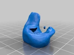 ear B