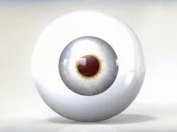 Eyeball