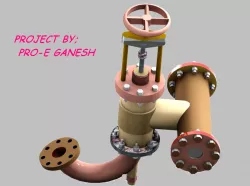feed and check valve
