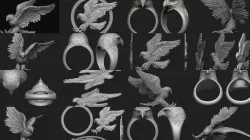 Hawk collection 
