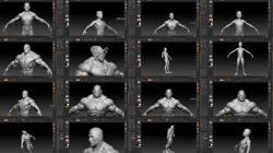 humanoid pack 3D Model Collection