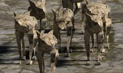 Lowpoly Wolfs with Wolf Rigging Ready for Game Assets or Animate Low-poly  3D model