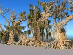 Magic Forest Pack  3D model