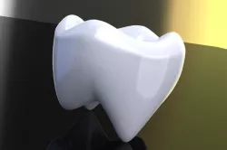 molar tooth