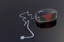 Mouse