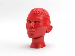 Paperweight Brain Head