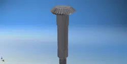 Piñon Conico