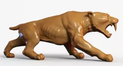 Sabre Tooth Tiger 3D model