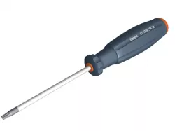 Screwdriver Torx