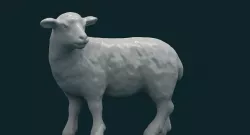 Sheep 3D model