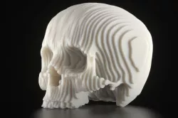 Solid Part Skull