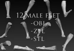12 Male Feet 3D model