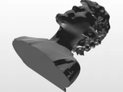 3d Human Portrait