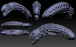 Aliens xenomorph inspired head 3d file 3D model
