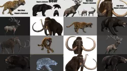 animated animals with hair effect panther bear deer elephant  3D Model Collection